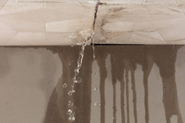 Professional Structural Drying technician working in Schofield, WI